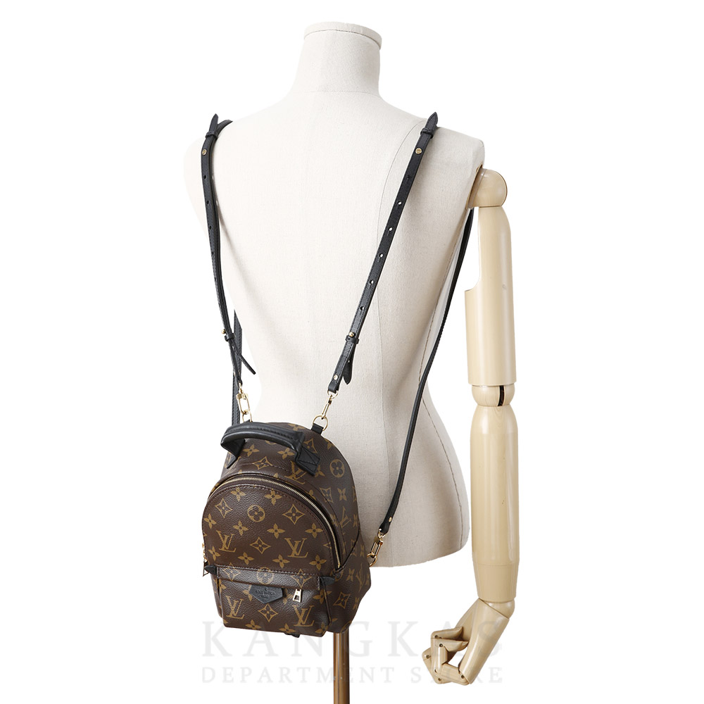 LOUIS VUITTON(USED)루이비통 팜 스프링스 미니 백팩